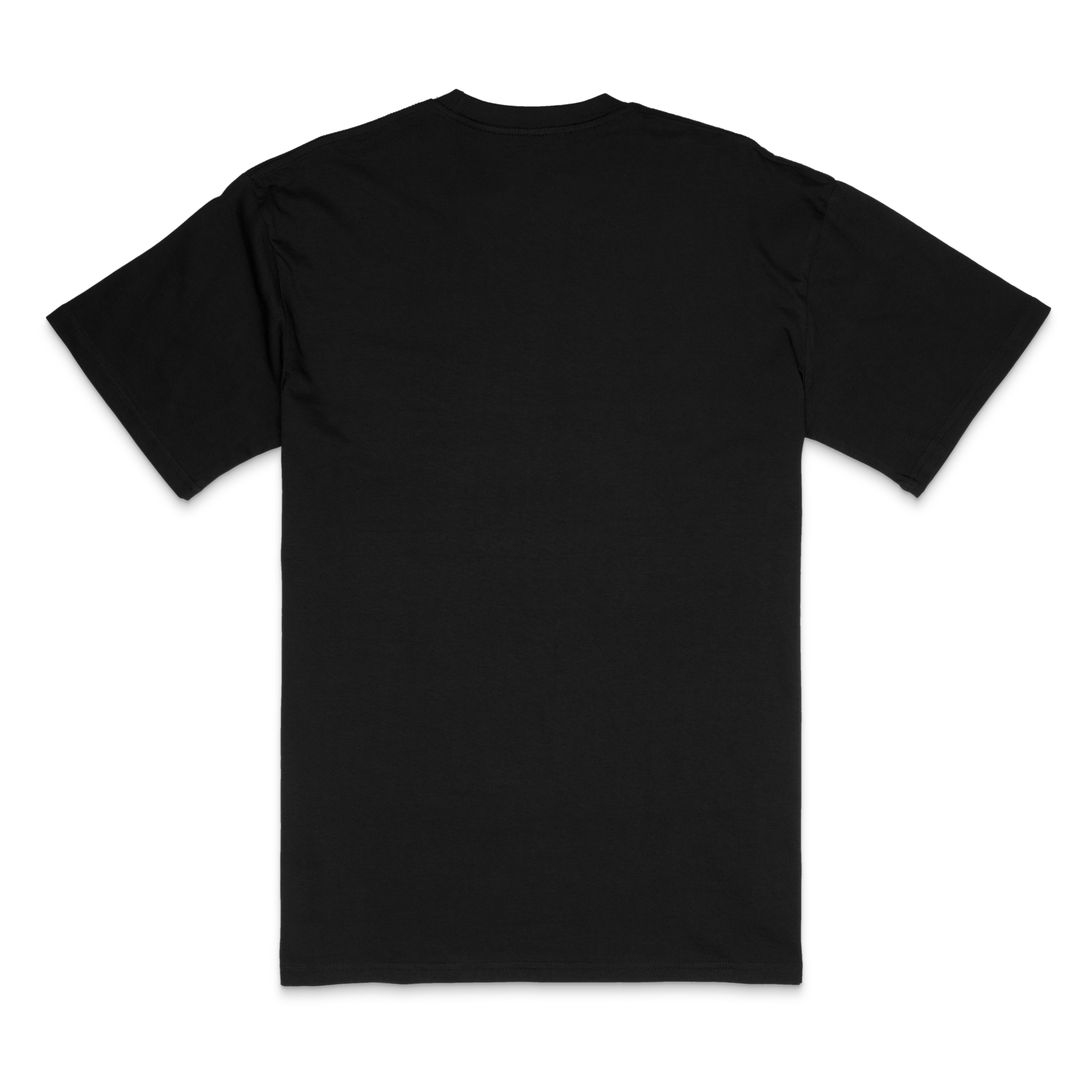OG Common Tee - GHOST
